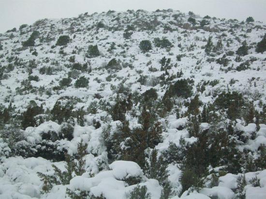 neige 2010 Janvier