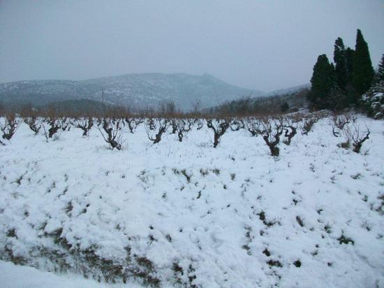 neige 2010 Janvier